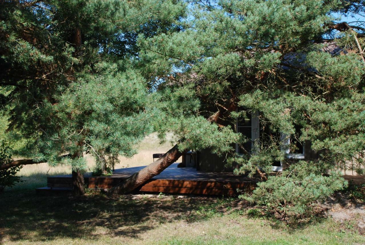 Pape Rogas Villa Exteriör bild